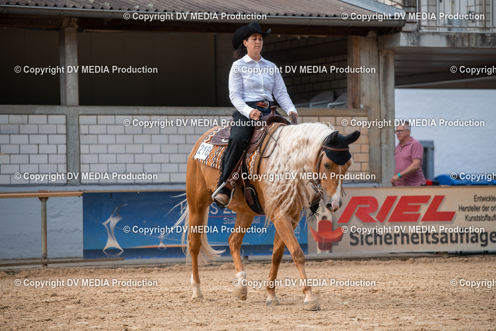 EWP_5621 | dv-media-shop - Realisiert mit Pictrs.com