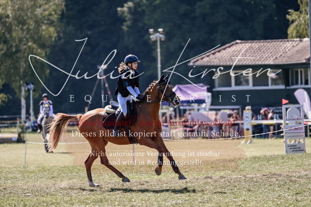 DSC_2970 | Pferde- und Turnierfotografie in Westsachsen. Pferdeportraits, Auftragszeichnungen und intuitive Kunst.
