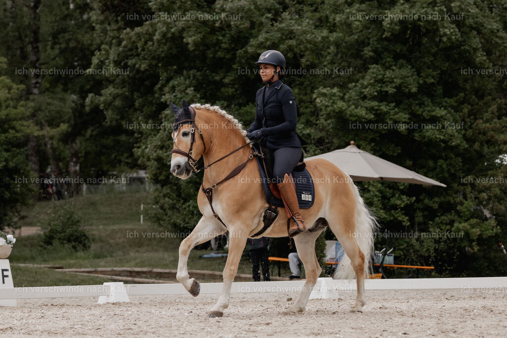 WE_DR_Stoib_308_PI2025_234 | Pferd International München 2025