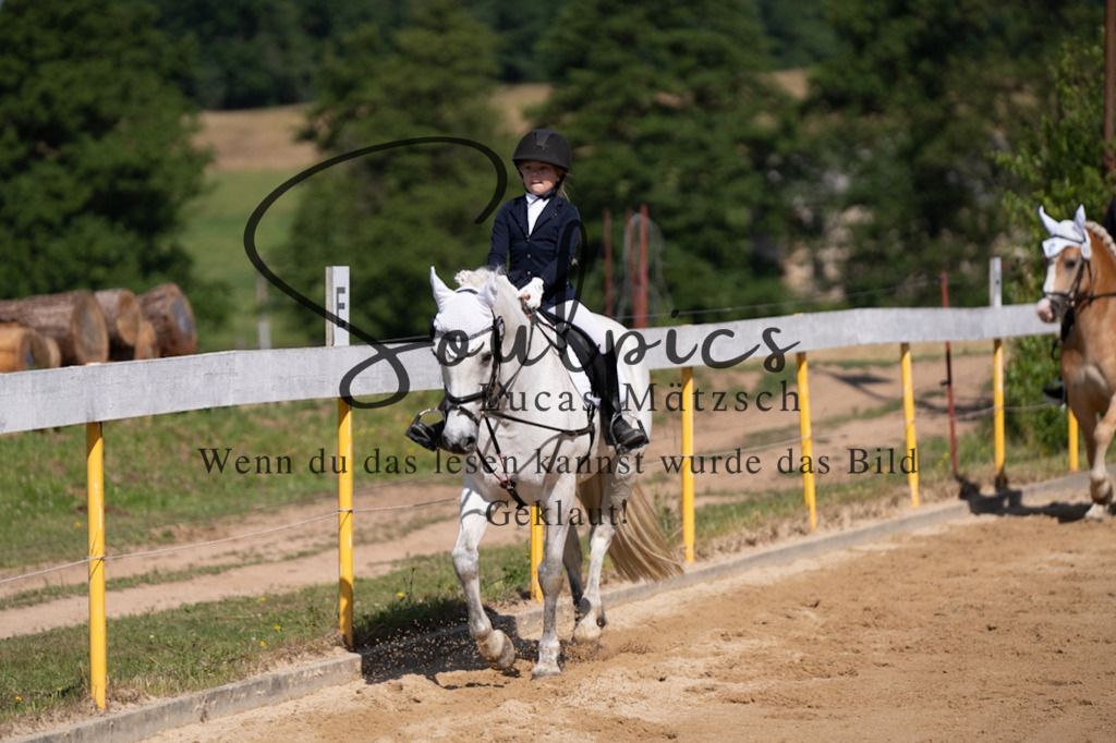 A7V07739 | Turnier/Reitfotograf