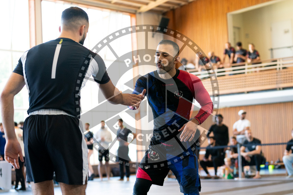 20250628PBB3354 | Athletes compete during the ILLCS X, International Luta Livre Championship Summer Edition on June 28, 2025 in Hannover, Germany. © Chiara Dazi / photoblackbelt