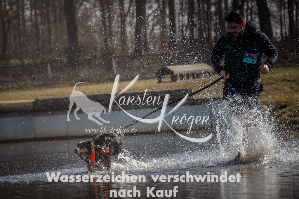 1137_ZZ95253 | kk-dogfotos
