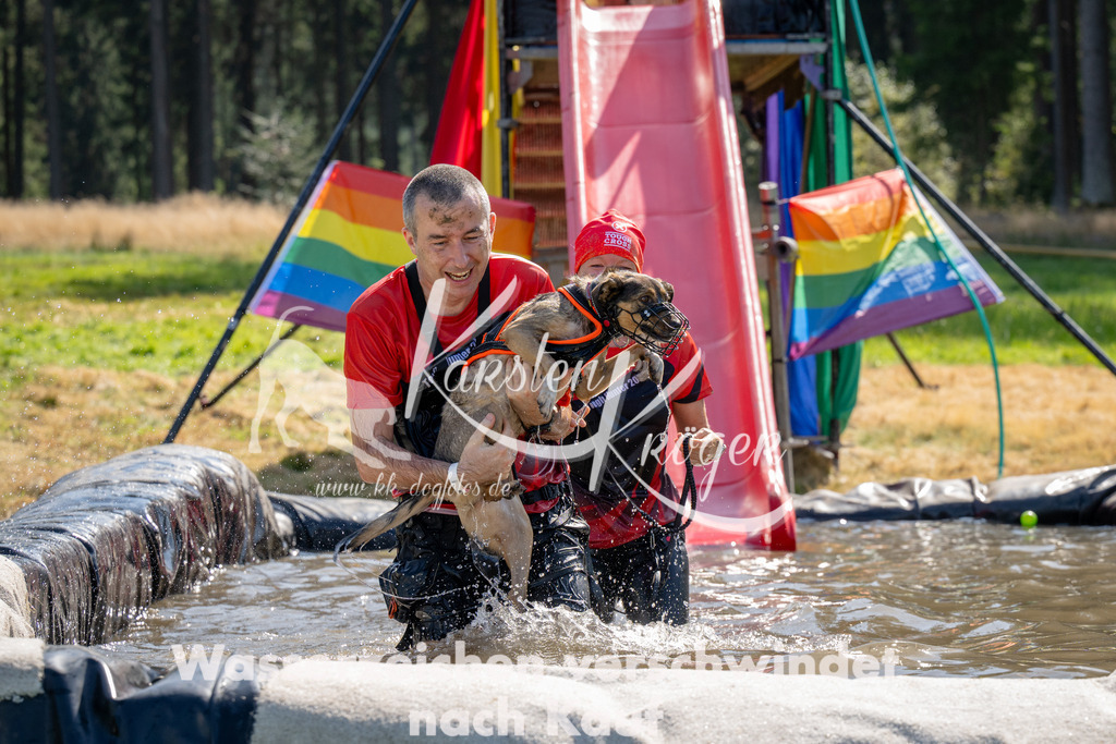 1438_ZZ91350 | kk-dogfotos