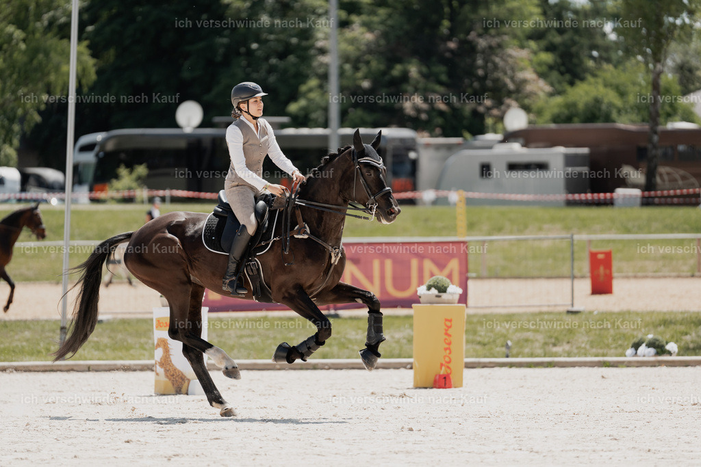 7C_04400 | Pferd International München 2025