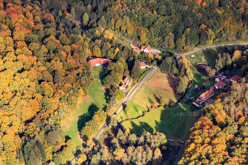 Vue aérienne: Schwarzbachtal x Rue de Grunenthal à Windstein dans le département Bas Rhin, France – .Photo: IMG_084693.jpg prise le 23/10/2015 par Werner Riehm/FLY-FOTO.eu – Résolution de l'original: 5472 x 3648 px