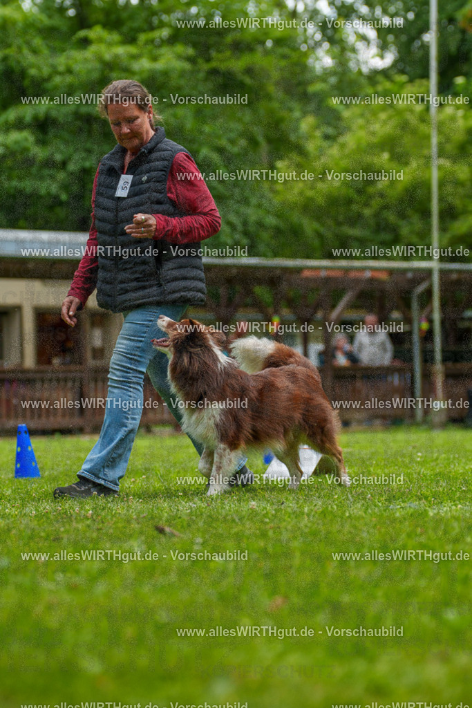 @allesWIRTHgut_Tierfotografie - www.allesWIRTHgut.de - 7R501514 | Professionelle Tierfotografie in Mönchengladbach von Daniel Wirth (allesWIRTHgut). Liebevolle & natürliche Bilder von Hunden & Katzen für unvergessliche Erinnerungen.