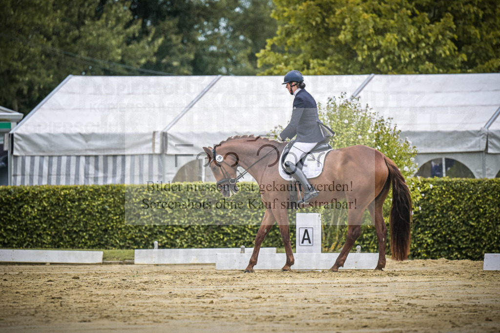 DOS_1127 | Entdecke hochwertige Reitturnierfotos von Foto Oger. Professionell, emotional und authentisch – jetzt Lieblingsmomente im Shop bestellen.Deutschlandweite Turnierfotografie. - Realisiert mit Pictrs.com
