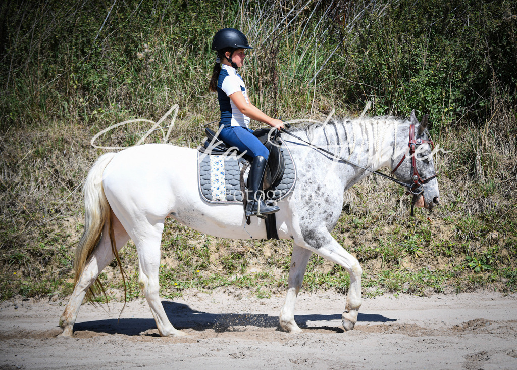 DSC_0812 | anikahuebner - Realisiert mit Pictrs.com