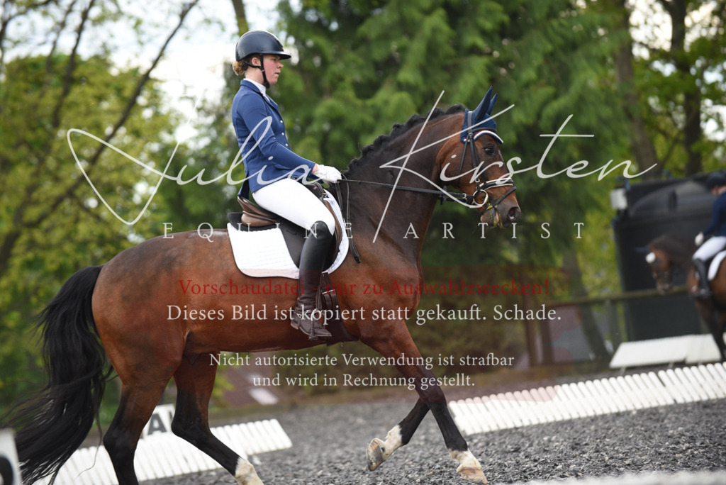 20230513_JK-Röhrsdorf-15-082 | Pferde- und Turnierfotografie in Westsachsen. Pferdeportraits, Auftragszeichnungen und intuitive Kunst.