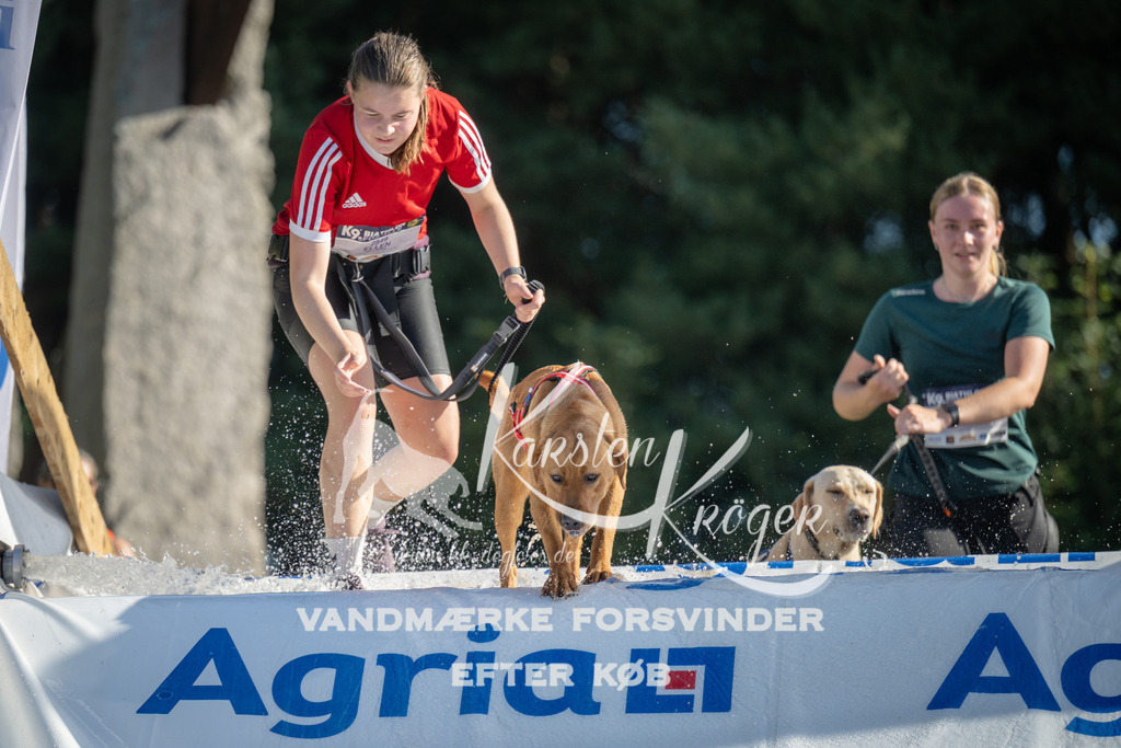 0938_ZZ96537 | kk-dogfotos