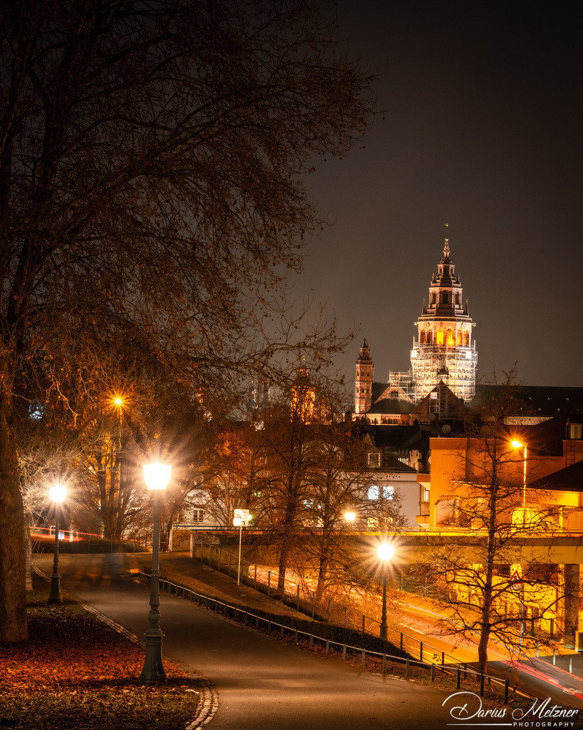 Der Mainzer Dom | Der Mainzer Dom