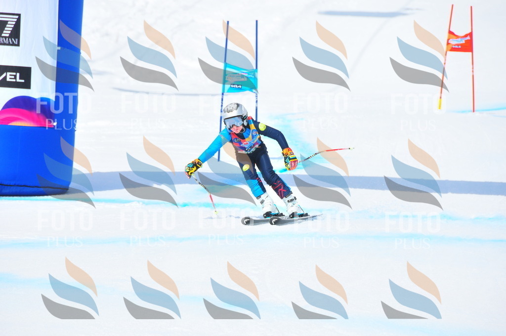 DSC_2974 | holidayphoto