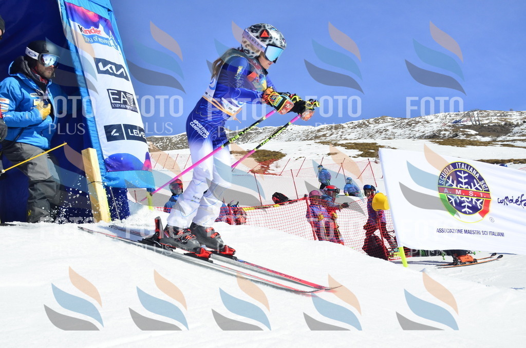 _ELE9998 | holidayphoto