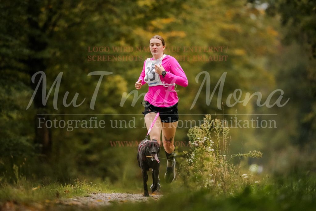20251005_THS_Turnier-42 | MuT (Mensch und Tier) mit Mona - Fotografie und Tierkommunikation - Realisiert mit Pictrs.com