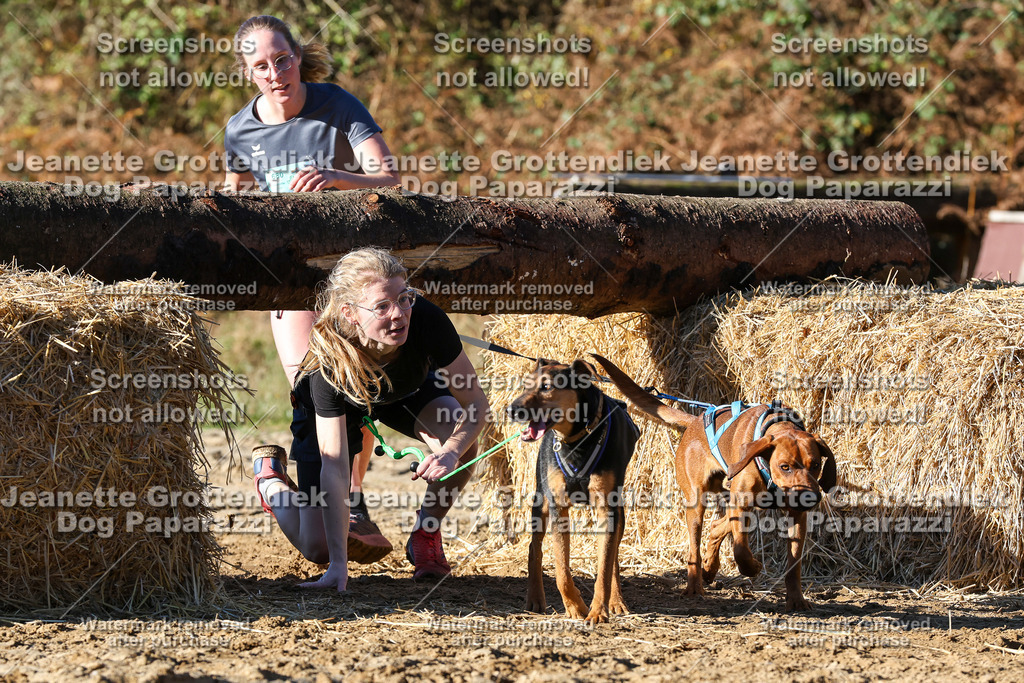 Dog Paparazzi - Strongdog 10-25-1928 | Dog Paparazzi Jeanette Grottendiek Fotografie & Videografie - Realisiert mit Pictrs.com