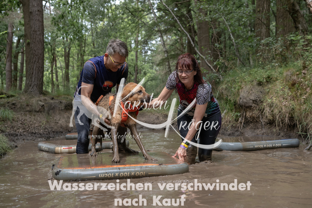 1335_ZZ94816 | kk-dogfotos