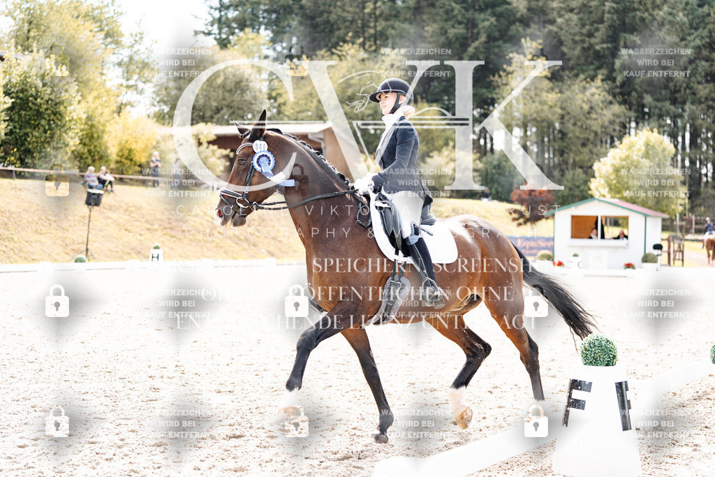 CK900962 | Turnierfotografie Pferdefotografie Trier Rheinland-Pfalz Pferdesport Reitsport Tierfotografie Sportfotografie Pferdevideo Pferdevideografie Equestrianvideography equestrianphotography  - Realisiert mit Pictrs.com