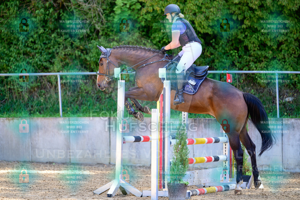 29082026-Giesenbach-Prfg10-0841 | Fokus Hufschlag Fotografie - Realisiert mit Pictrs.com