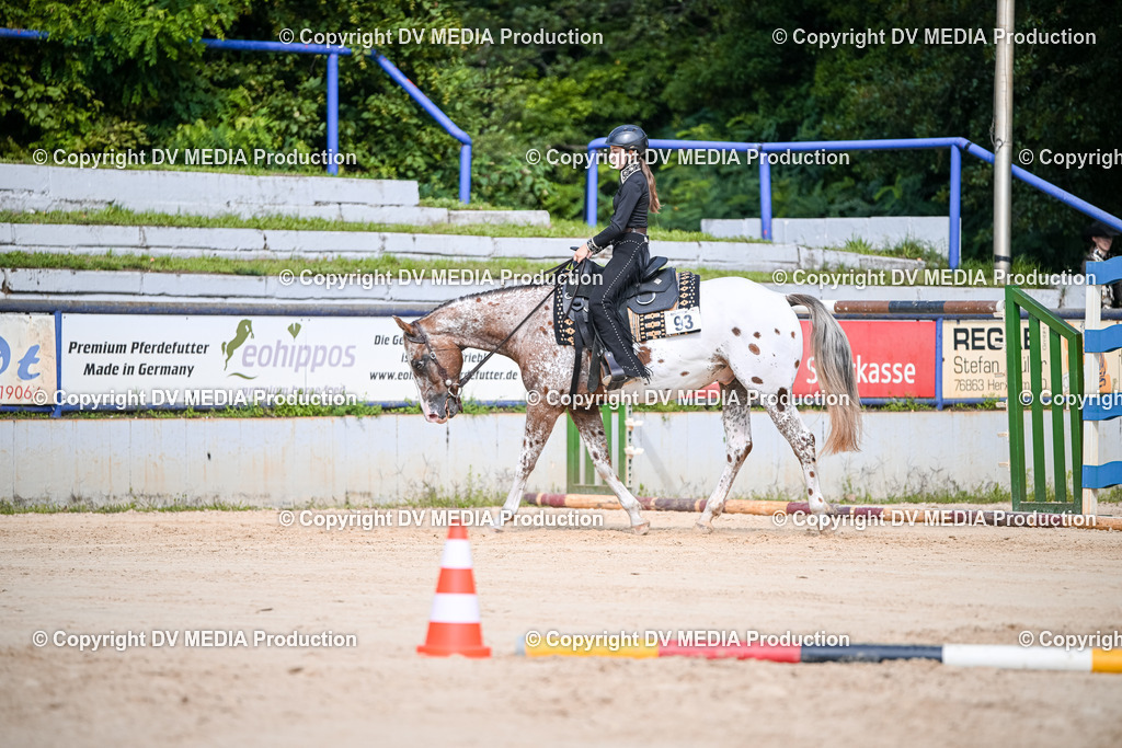 ZS2_3534 | dv-media-shop - Realisiert mit Pictrs.com