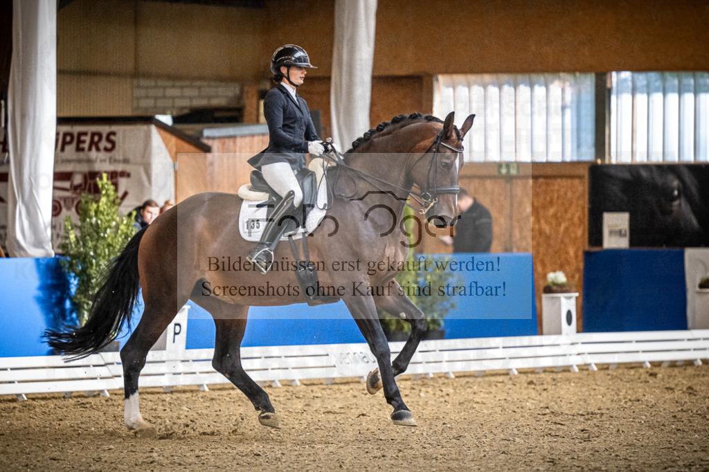 DOS_0331 | Entdecke hochwertige Reitturnierfotos von Foto Oger. Professionell, emotional und authentisch – jetzt Lieblingsmomente im Shop bestellen.Deutschlandweite Turnierfotografie. - Realisiert mit Pictrs.com