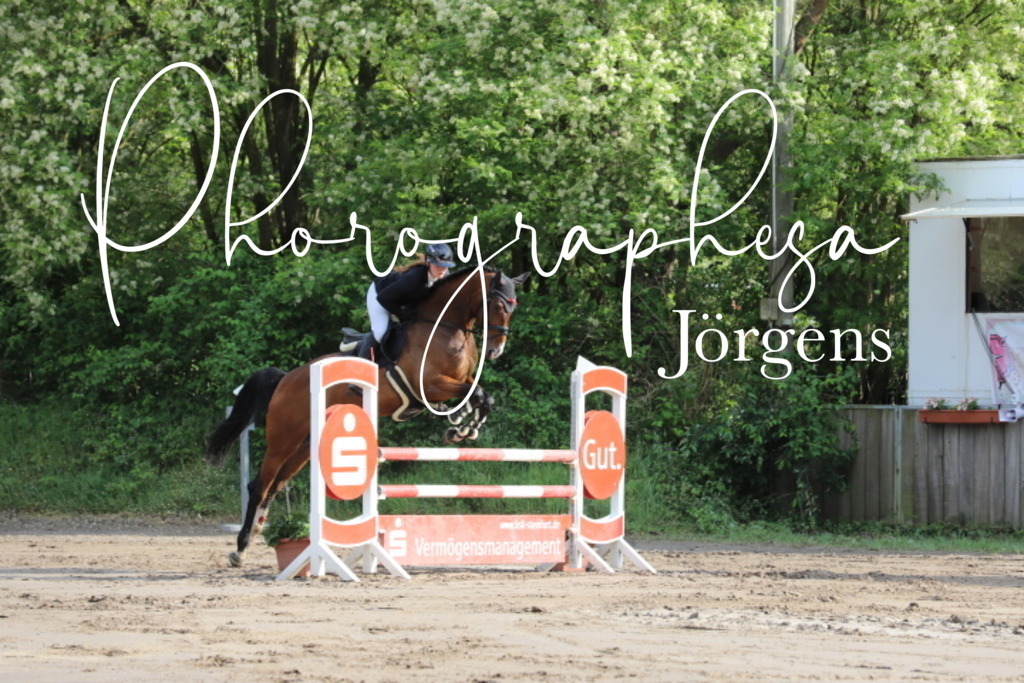 IMG_9049 | photographesa-joergens - Realisiert mit Pictrs.com