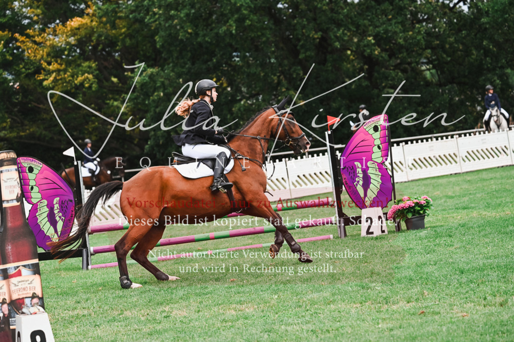 DSC_5926 | Pferde- und Turnierfotografie in Westsachsen. Pferdeportraits, Auftragszeichnungen und intuitive Kunst.