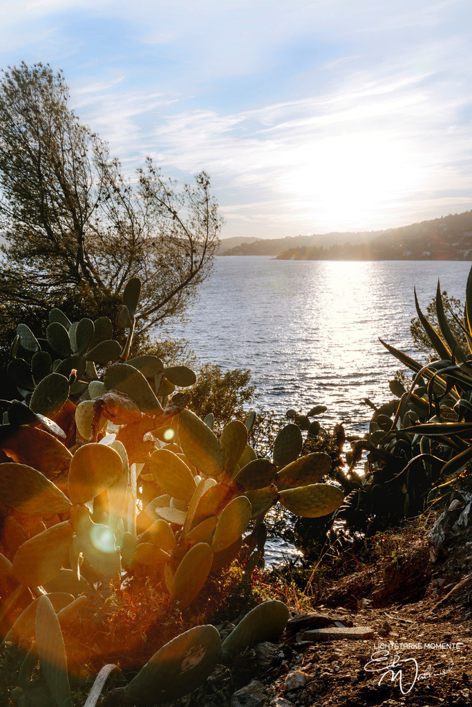 Cap Nègre (Cavaliere, Le Lavandou) | Herzlich willkommen auf meiner Seite! Ich bin Elke Wallnisch, Deine Fotografin für lichtstarke Momente. Der Name steht für alles, was mich mit der Fotografie verbindet: Das Licht und seine machtvolle Wirkung auf eine Situation oder unsere Stimmung - Realisiert mit Pictrs.com