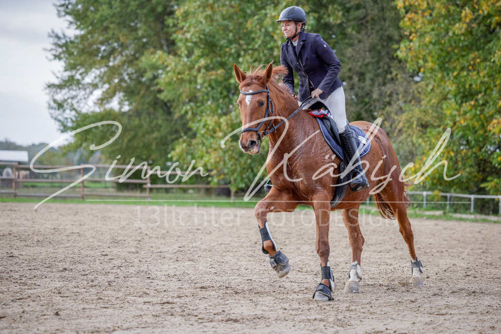 20251012-_3LI5439 | Tierfotografie Pferde, Hunde, Katzen, Haustiere.
Turnierfotografie Reitturniere, Reiten, Springreiten, Dressur in Hanau, dem Main-Kinzig-Kreis und dem Rhein-Main- Gebiet um Frankfurt