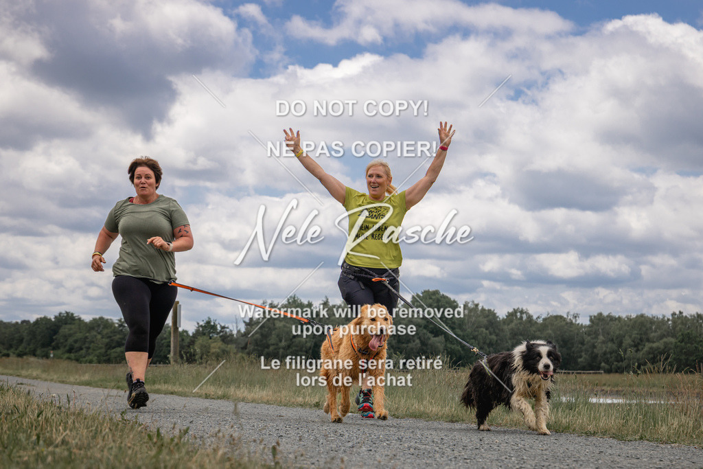 nelerasche_BuHu2026_SaCC1100-1200_257 | nelerasche