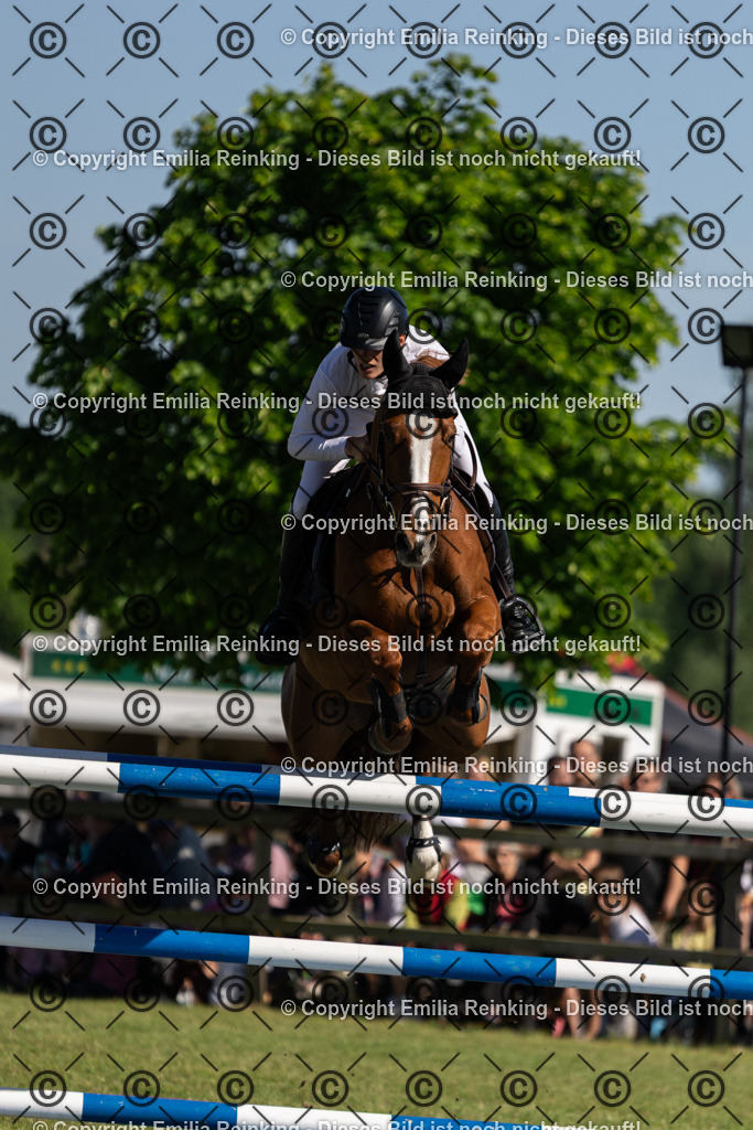 CL5A1417 | Emilia Reinking Fotografie - Realisiert mit Pictrs.com