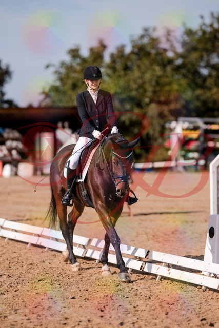 2026_10_03_Siefer-Hof_125538_Z81_45186659 | Professionelle Reitsport-, Turnier- und Eventfotografie von Robert Broda. Galerien mit ausgewählten und bearbeiteten Bildern direkt online ansehen und bestellen.