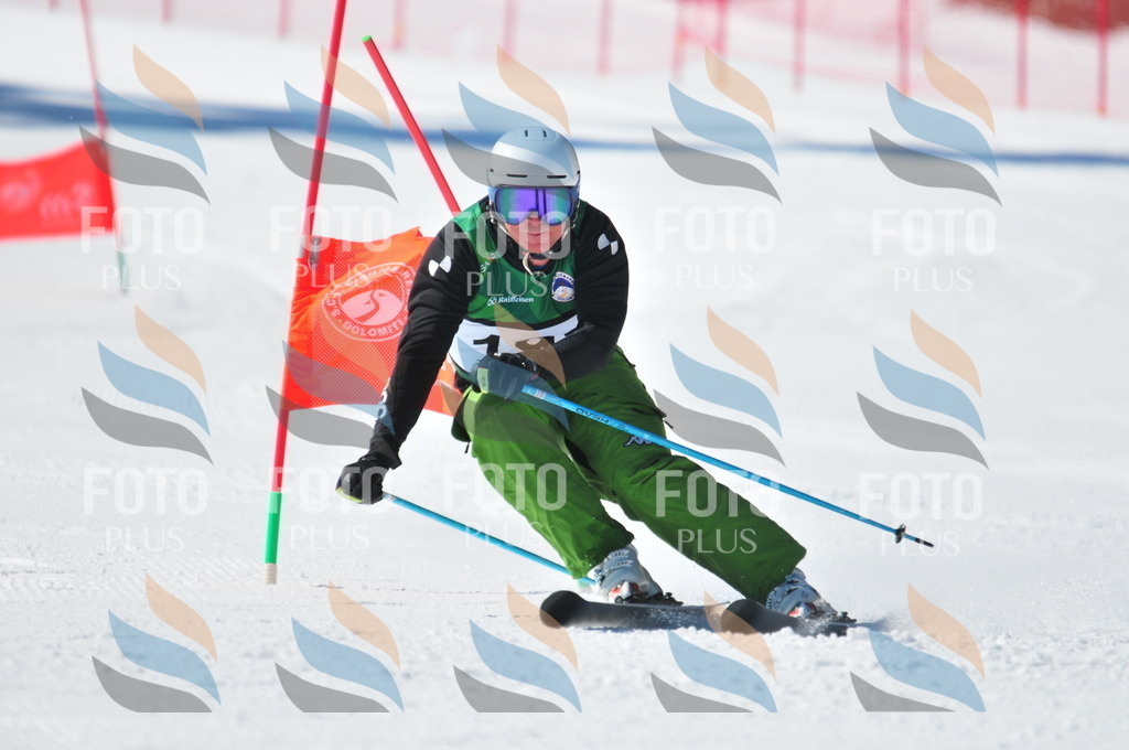 C4449 | holidayphoto