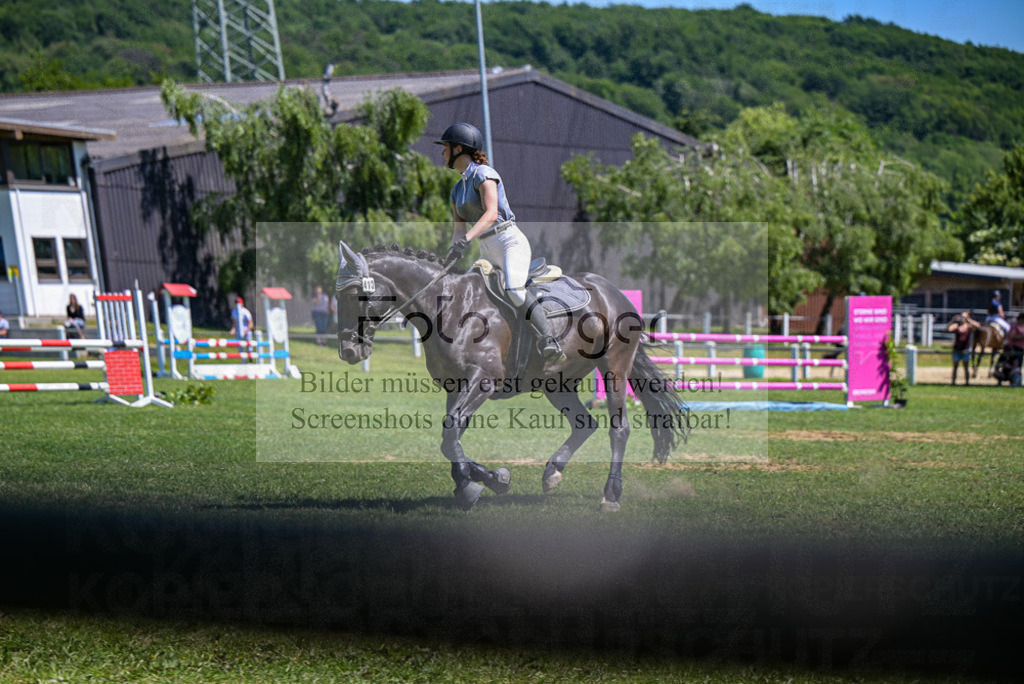 Reitturnier Voxtrup | Entdecke hochwertige Reitturnierfotos von Foto Oger. Professionell, emotional und authentisch – jetzt Lieblingsmomente im Shop bestellen.Deutschlandweite Turnierfotografie. - Realisiert mit Pictrs.com