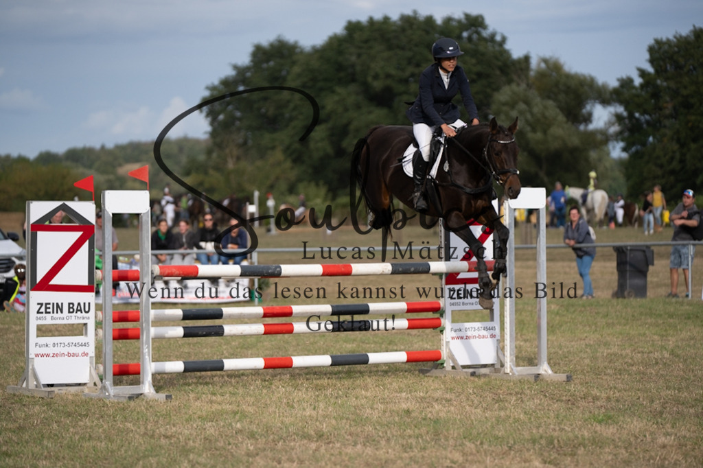 A7V09770 | Pferdefotograf