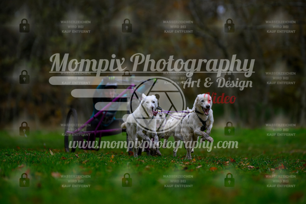 MompixPhotography_Bischwiller24_SA_Kart-8 | PayLife