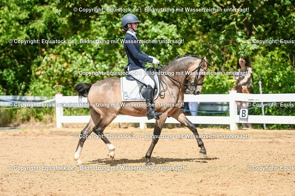 20230716_01_Dressurprüfung Kl.M_0229 | equistock