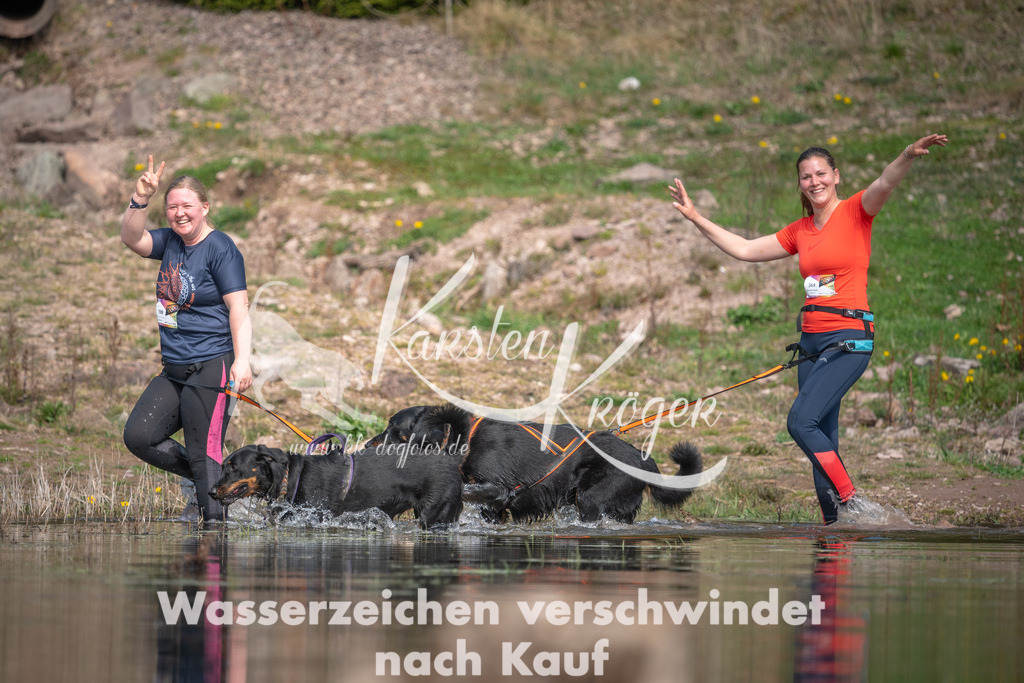 1111DZ6_2734 | kk-dogfotos