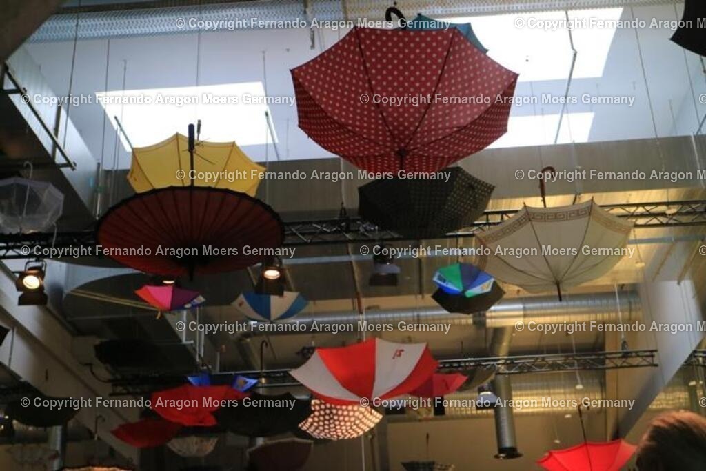 IMG_5071 | aragon-pics - Realisiert mit Pictrs.com