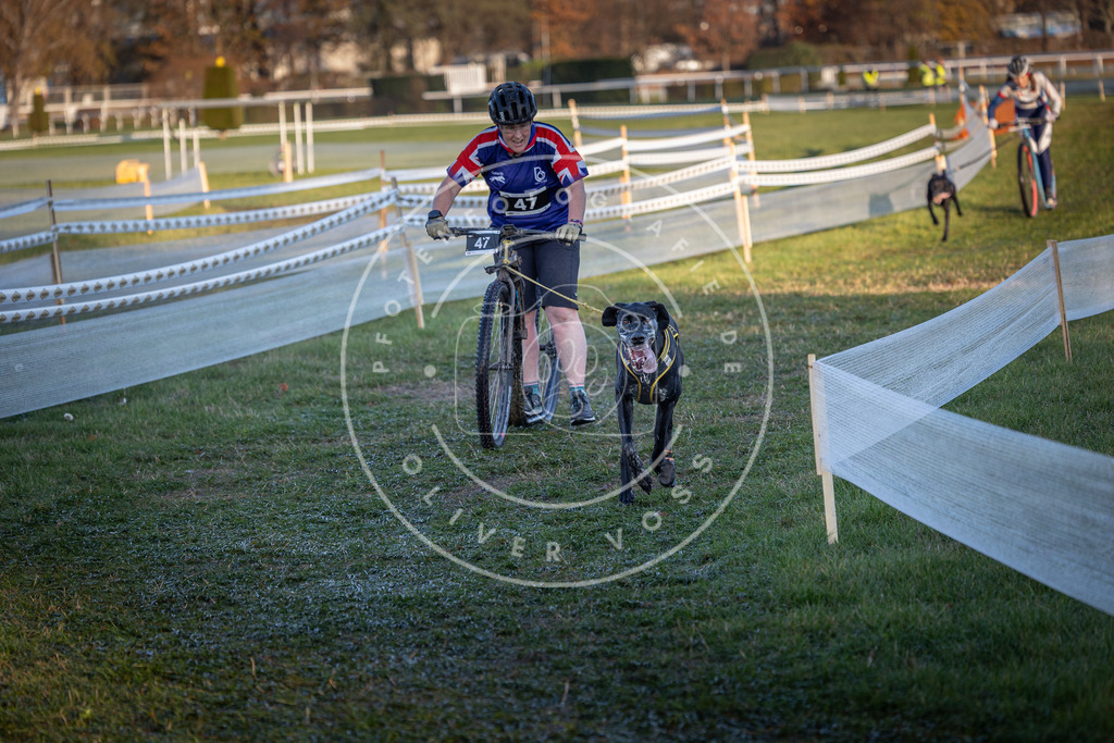 CaniXpix_0L8A2467 | Hundefotografie, Tierfotograf, Pfotenfotografie, Fotoshooting Hund, Hunde Portrait, Hundesport, Hundeportraits, Heideshooting, Hunde, Sportfotograf, Hundefotograf, Turnierhundsport, THS,  - Realisiert mit Pictrs.com