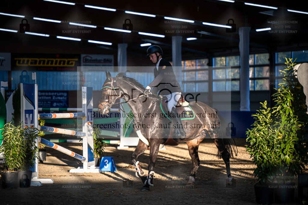 DOS_4012 | Entdecke hochwertige Reitturnierfotos von Foto Oger. Professionell, emotional und authentisch – jetzt Lieblingsmomente im Shop bestellen. - Realisiert mit Pictrs.com