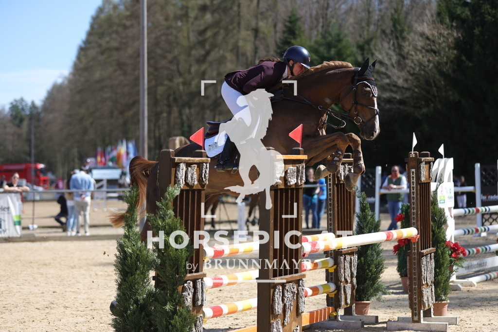 0P6A8565 | Willkommen bei Brunnmayr - Design & Fotografie – Ihrem Spezialisten für Reitturniere und Pferdeveranstaltungen in Oberösterreich, Salzburg und Bayern! Seit über 17 Jahren sind wir leidenschaftlich dabei.