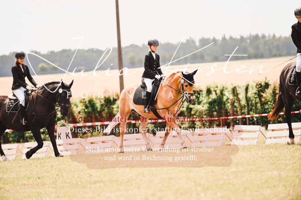 DSC_6205 | Pferde- und Turnierfotografie in Westsachsen. Pferdeportraits, Auftragszeichnungen und intuitive Kunst.