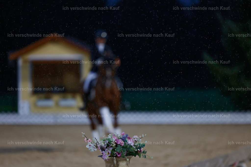 04_2-Siegerehrung-Dressur M__ -StoibPH-2918 | working equitationturnier fotograf videograf stoibphotography marixx film working equitation deutschland reitsport turnierfotografie eventfotografie equestrian events