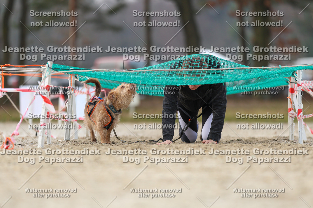 Dog Paparazzi - Strongdog North Mrz26-4461 | Dog Paparazzi Jeanette Grottendiek Fotografie & Videografie - Realisiert mit Pictrs.com