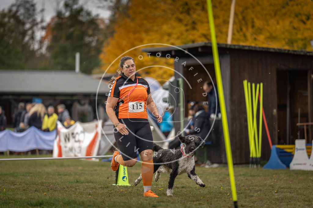 Pfotenfotografie_DV3A6736 | Hundefotografie, Tierfotograf, Pfotenfotografie, Fotoshooting Hund, Hunde Portrait, Hundesport, Hundeportraits, Heideshooting, Hunde, Sportfotograf, Hundefotograf, Turnierhundsport, THS,  - Realisiert mit Pictrs.com