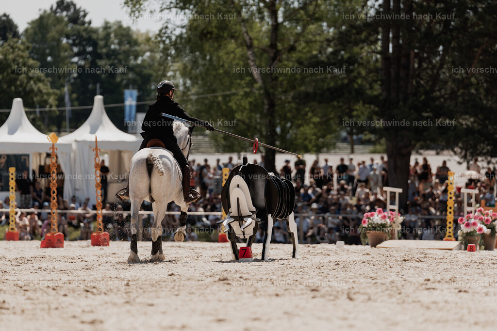 WE_SP_Stoib_312_PI2025_1649 | Pferd International München 2025