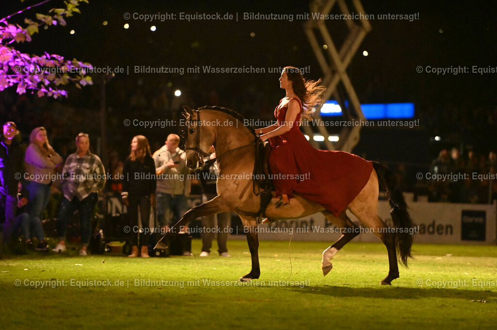 20230526_Pferdenacht_1395 | equistock