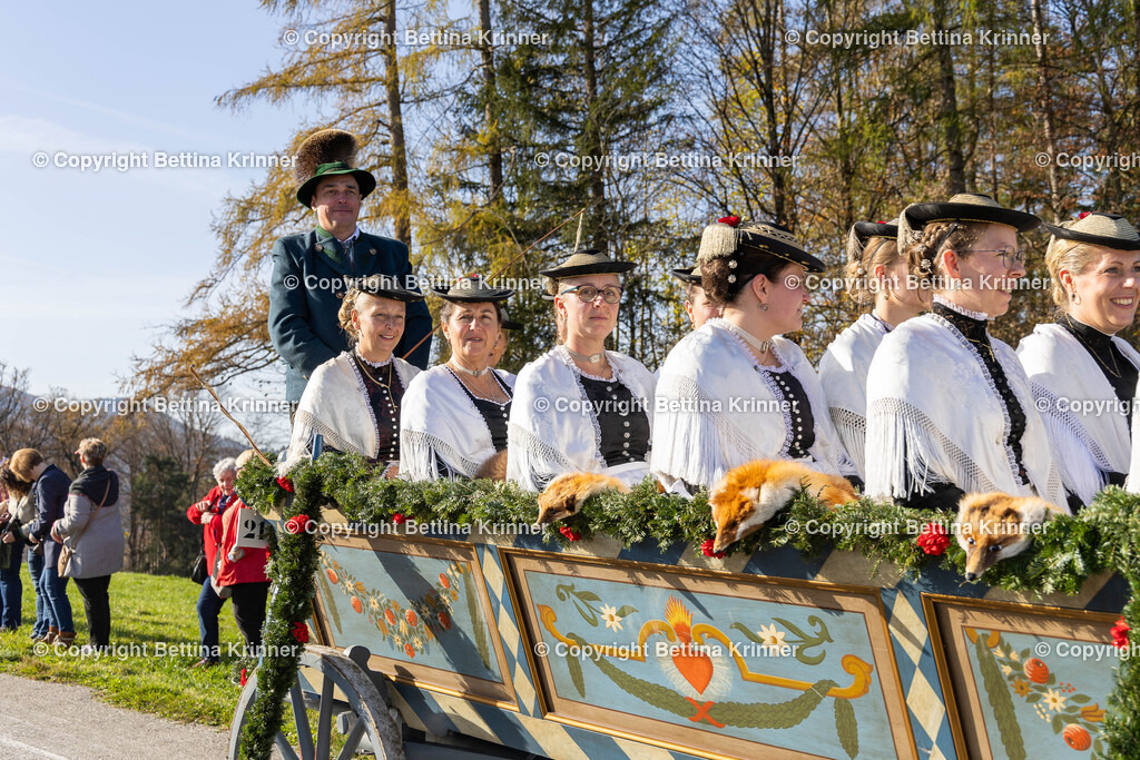 LBT24-1239 | foto-bettina-krinner - Realisiert mit Pictrs.com