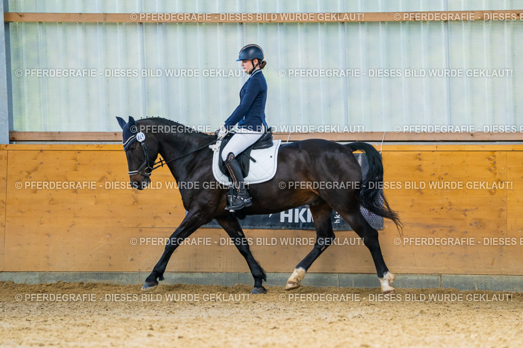 DSC08533 | Pferdegrafie