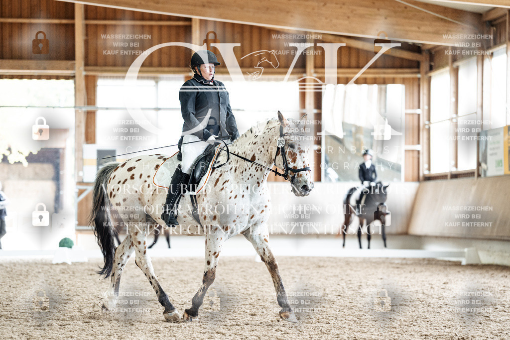 CK901154 | Turnierfotografie Pferdefotografie Trier Rheinland-Pfalz Pferdesport Reitsport Tierfotografie Sportfotografie Pferdevideo Pferdevideografie Equestrianvideography equestrianphotography  - Realisiert mit Pictrs.com